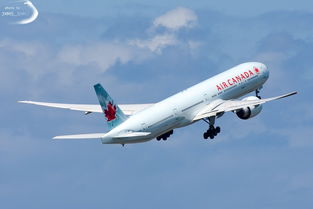 广州到香港跨境cod物流